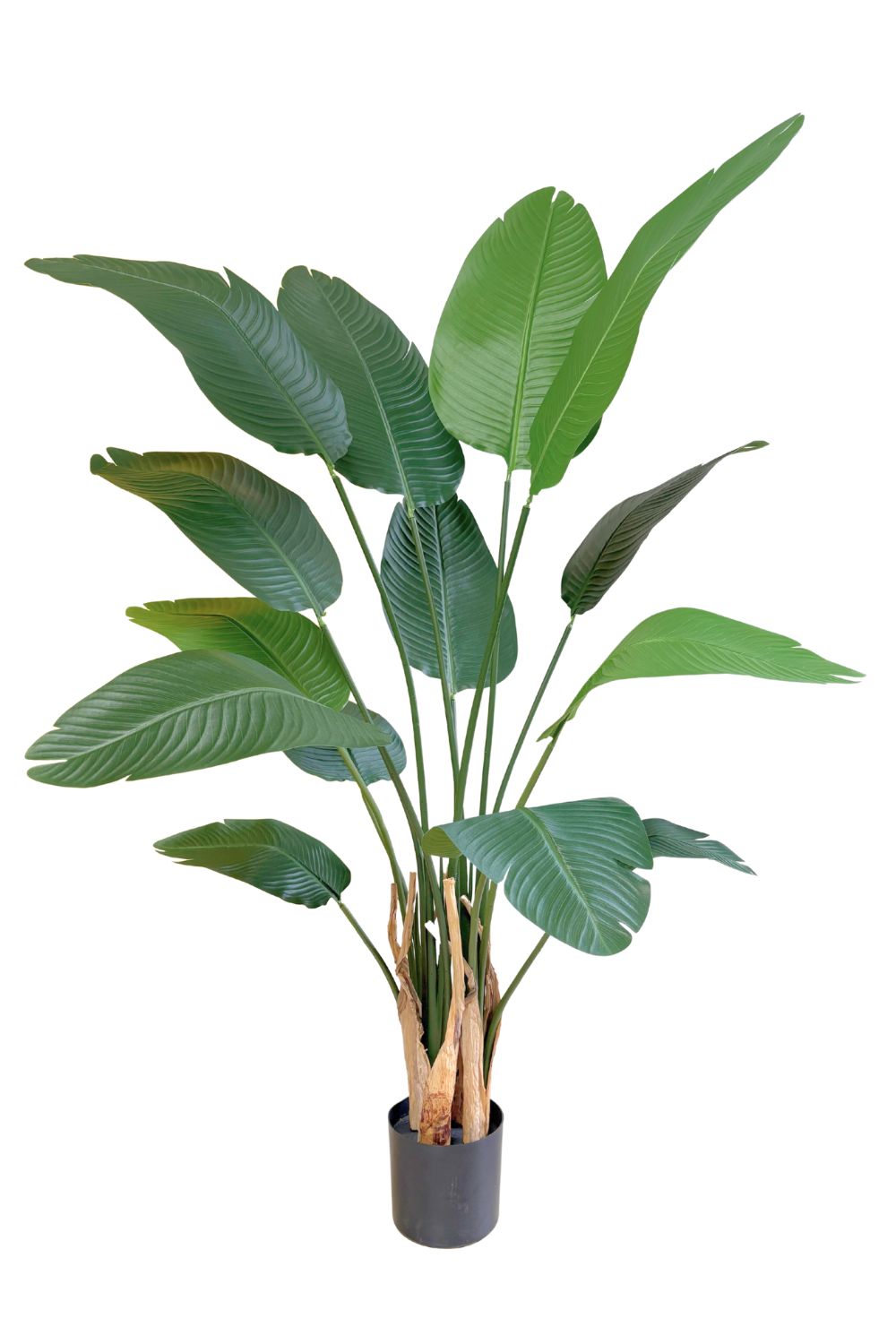 Strelitzia Kunstplant 160cm