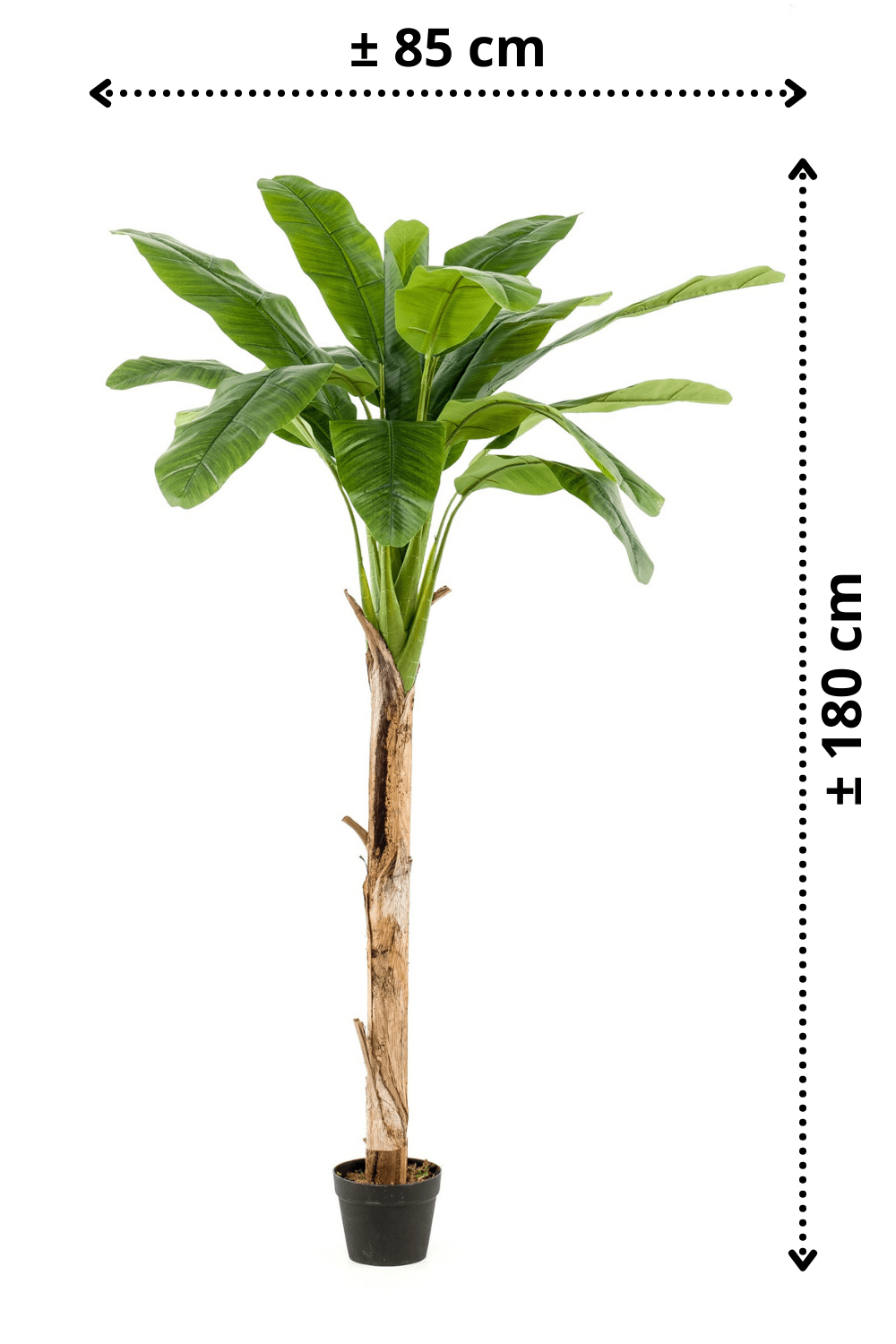 afmetingen Kunst Bananenplant 180cm