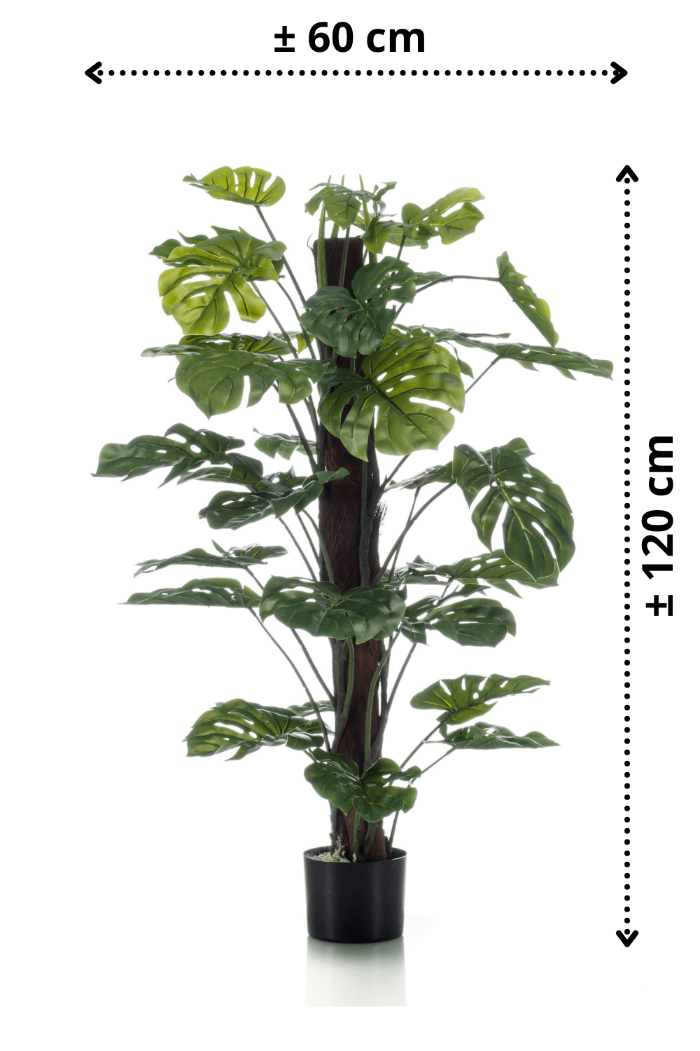 afmetingen Monstera Kunstplant 120cm