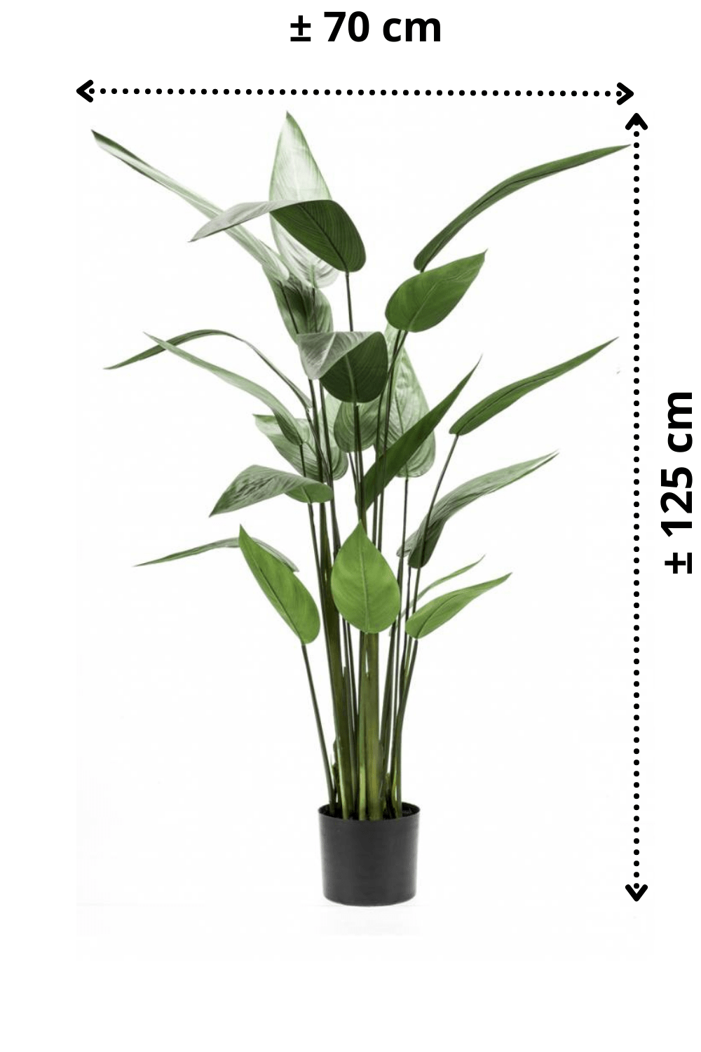 afmetingen Heliconia Kunstplant 125cm