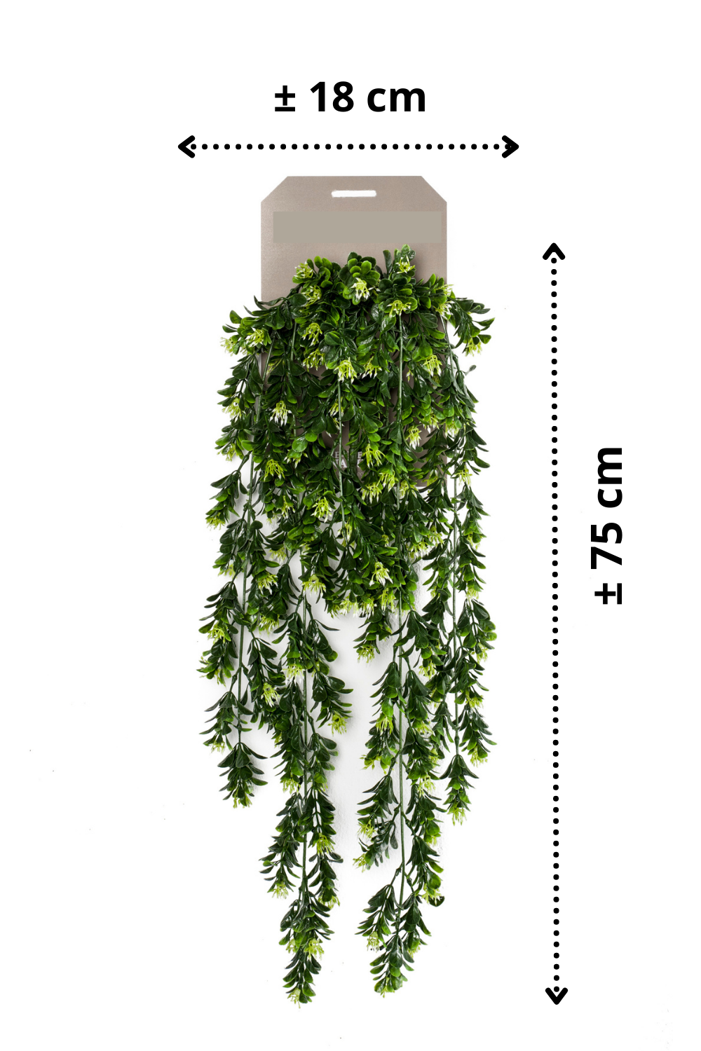 afmetingen buxus kunst hangplant