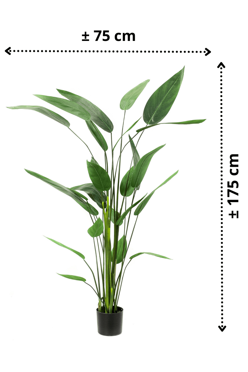 afmetingen Heliconia Kunstplant 175cm