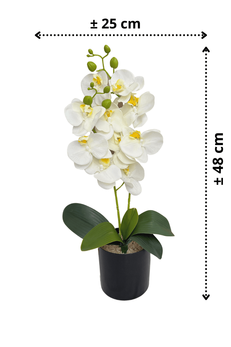 afmetingen Kunst Orchidee Wit 48cm