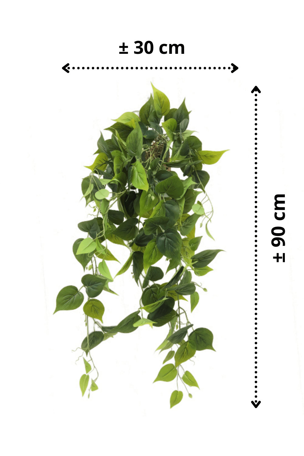 afmetingen Philodendron Kunst Hangplant