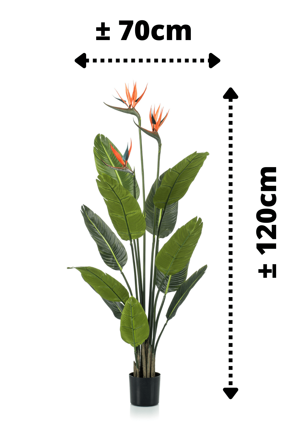 afmetingen Strelitzia Kunstplant 120cm met bloem
