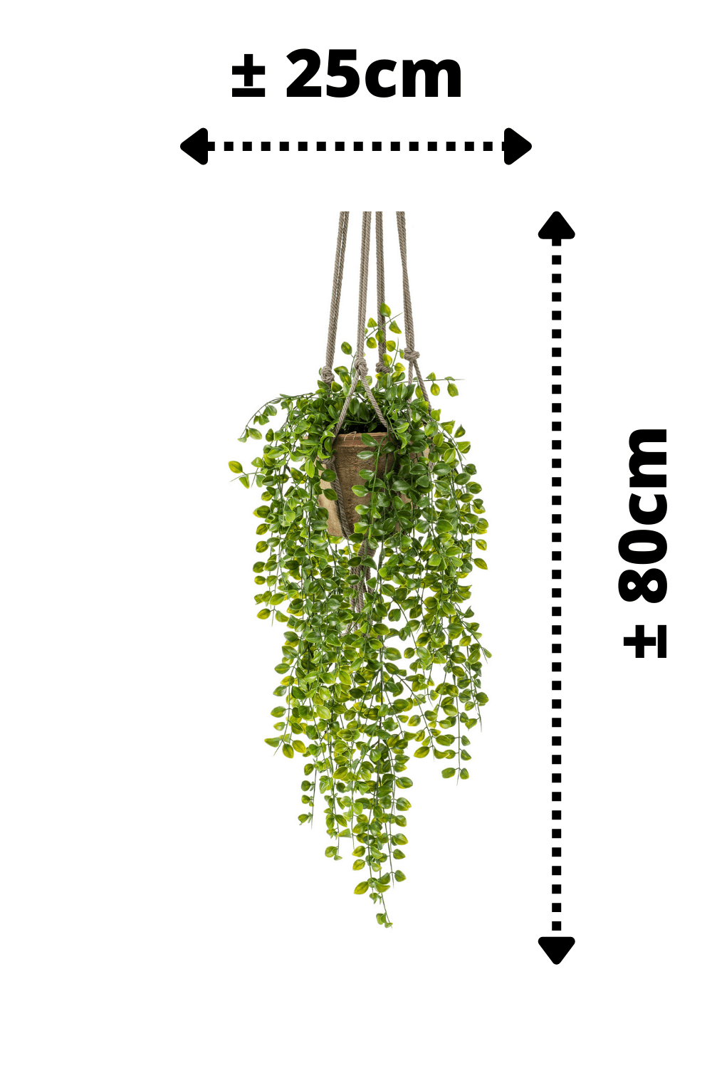 afmetingen Ficus Pumilla Kunst Hangplant 80cm