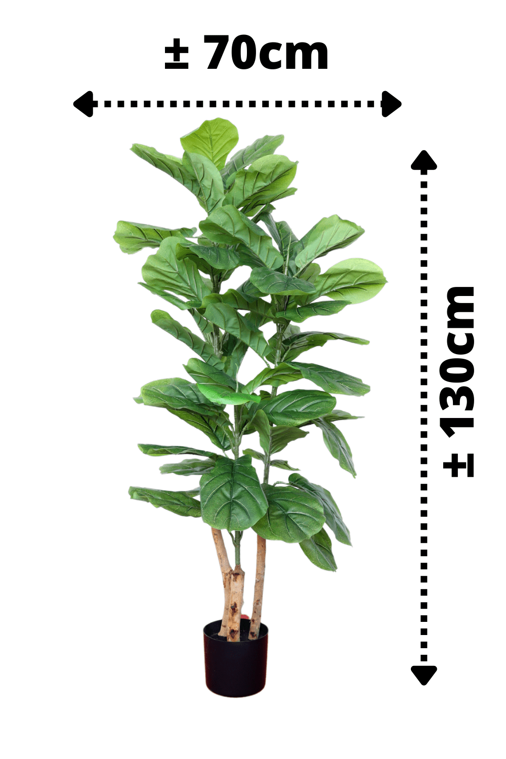afmetingen Ficus Kunstplant 130cm