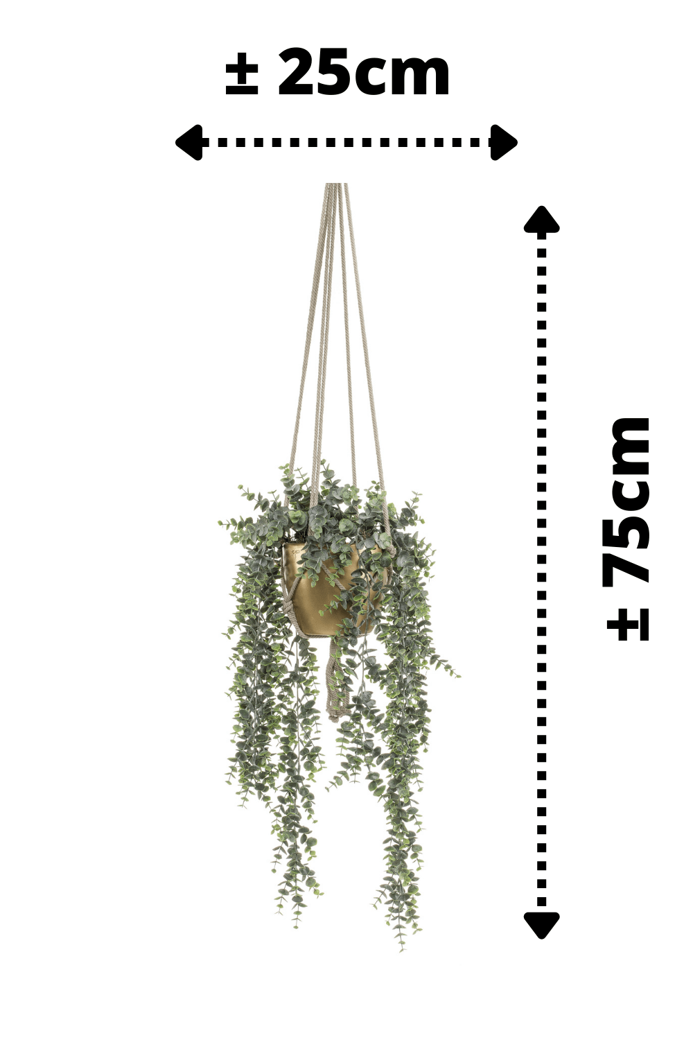 afmetingen Eucalyptus Kunst Hangplant in gouden pot 75cm