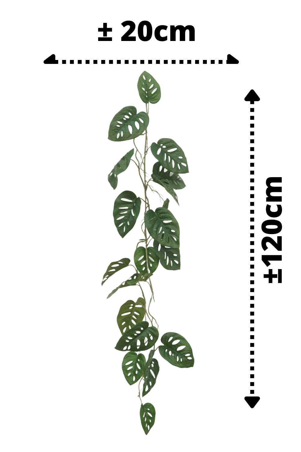 afmetingen Monstera Monkey Bush Kunstslinger 120cm (Guirlande)