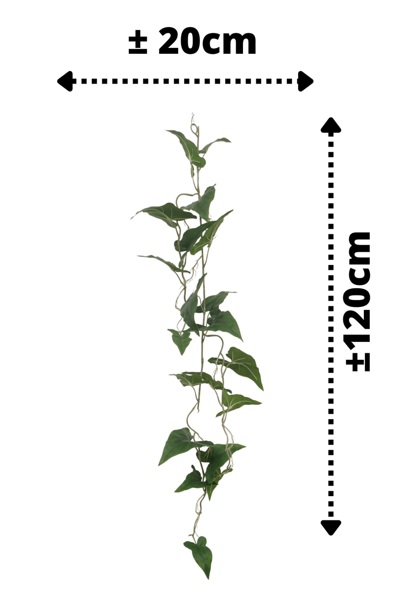 afmetingen Typhonium guirlande 120cm