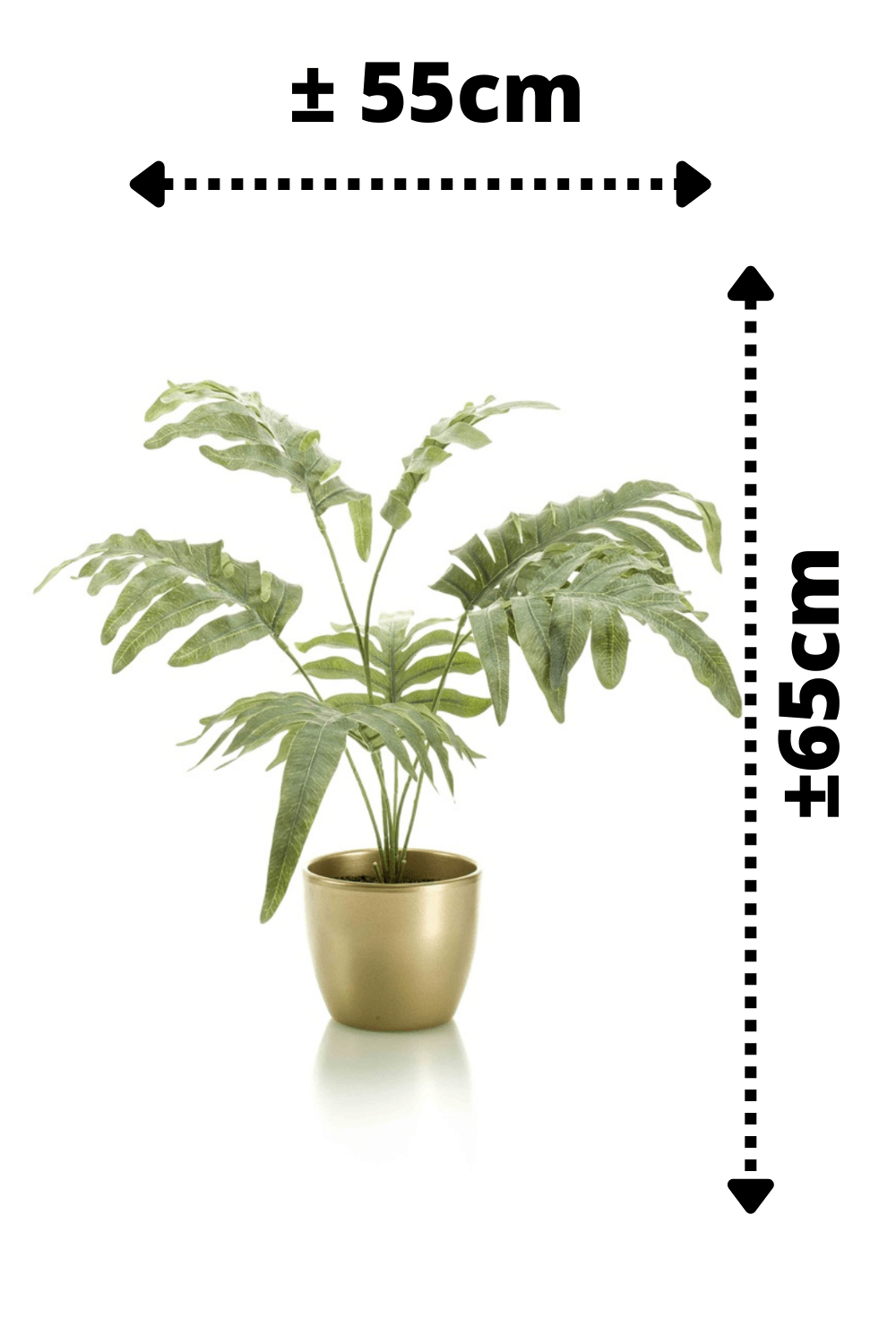 afmetingen Phlebodium Kunstplant 65cm