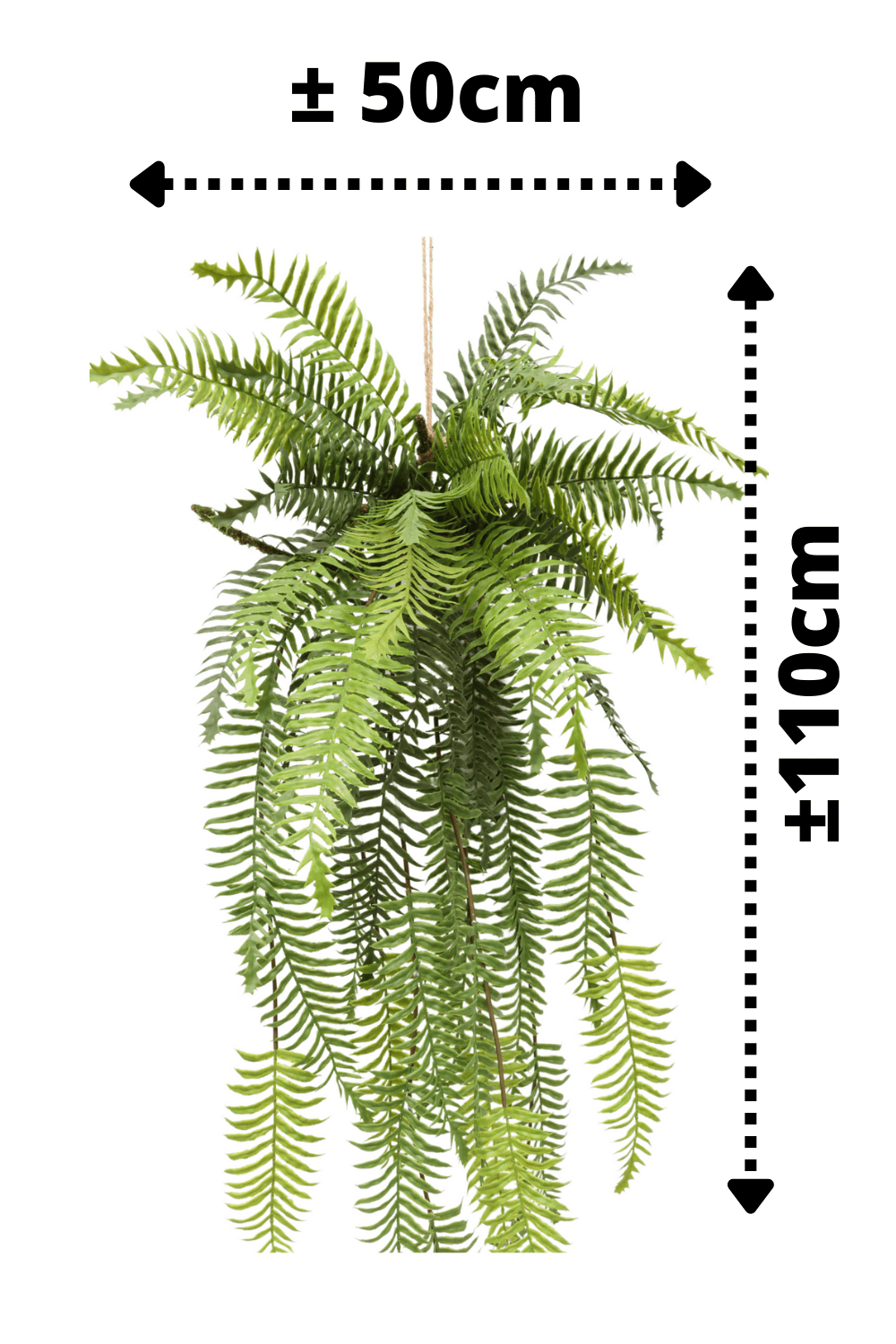 afmetingen Varen Kunst Hangplant 110cm