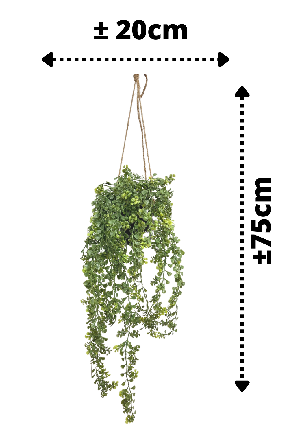 afmetingen Galium Kunst Hangplant 75cm