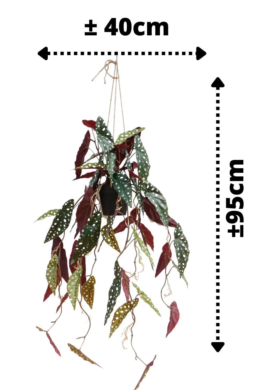 afmetingen Begonia Maculata Kunst Hangplant 95cm