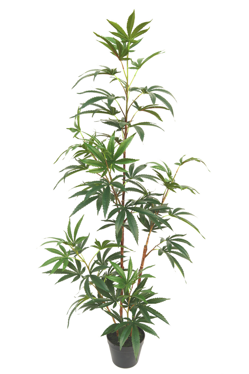 Aralia kunstplant 130cm