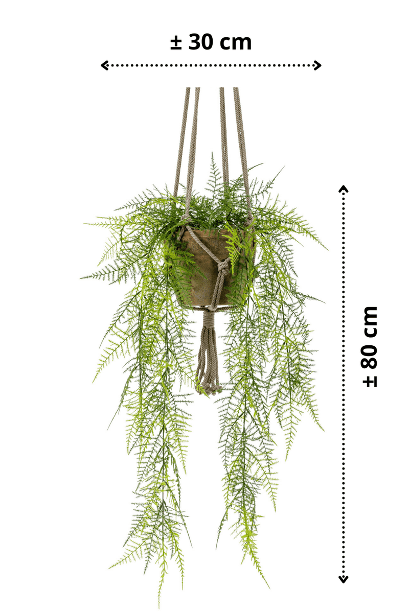 afmetingen asparagus kunst hangplant 80cm