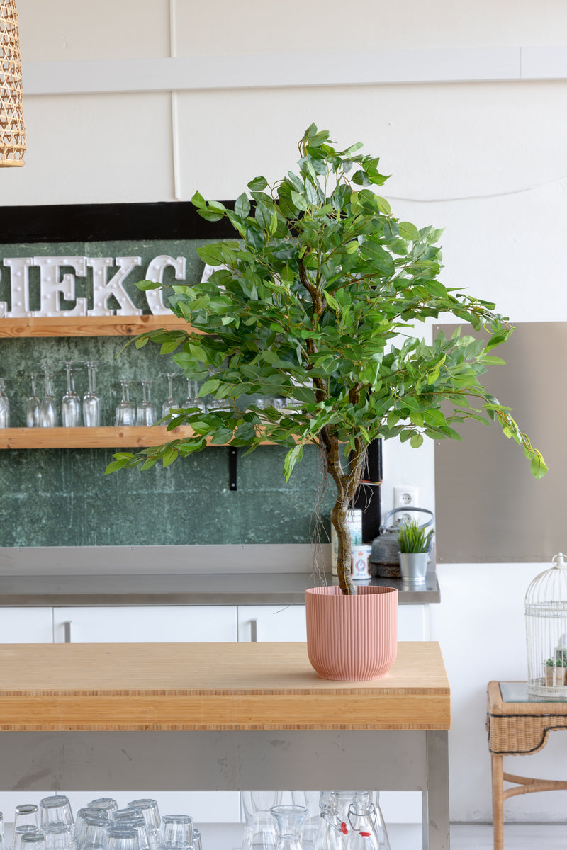 Sfeerbeeld 2 Ficus kunstboom 100cm