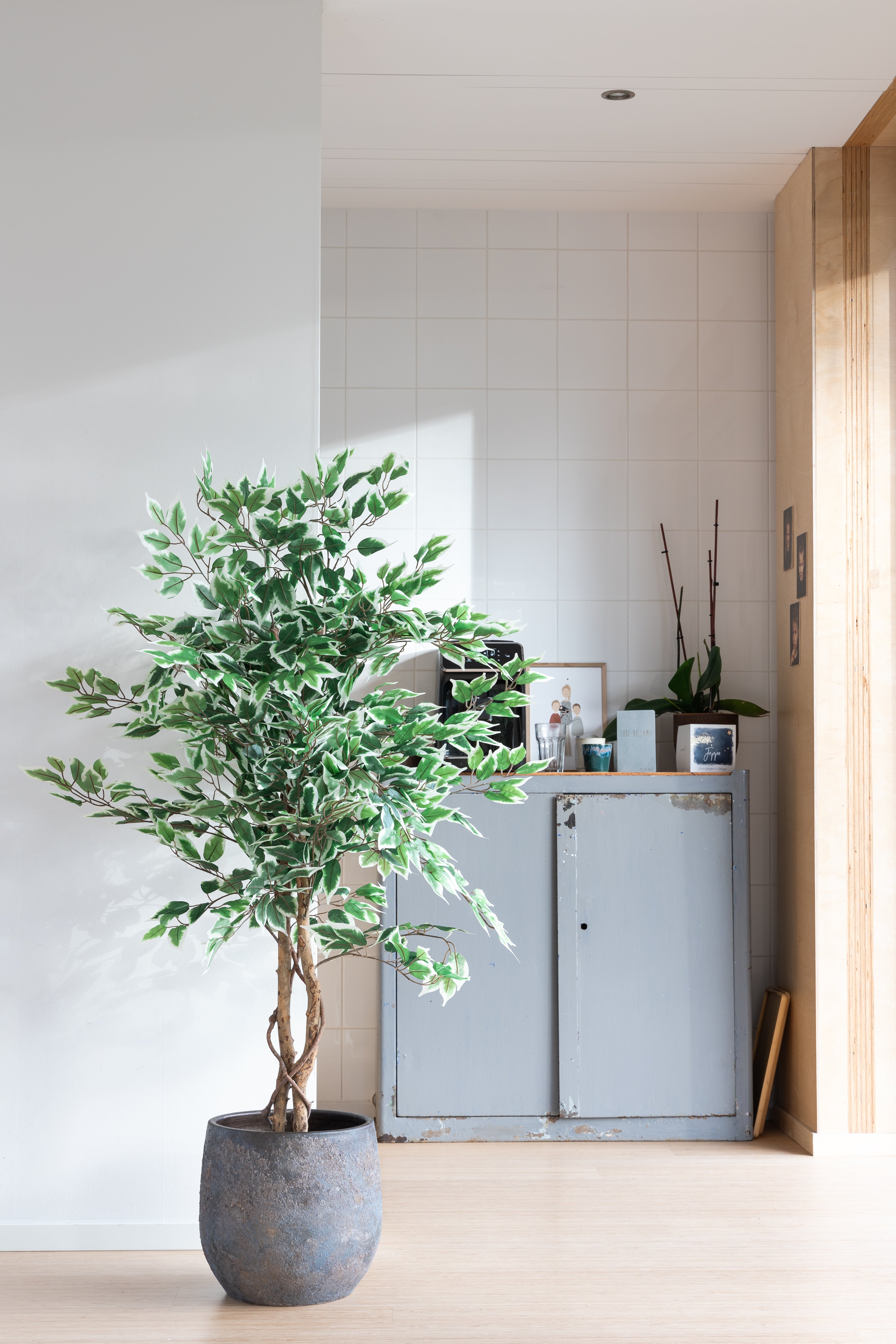 sfeerbeeld Ficus kunstboom 150cm