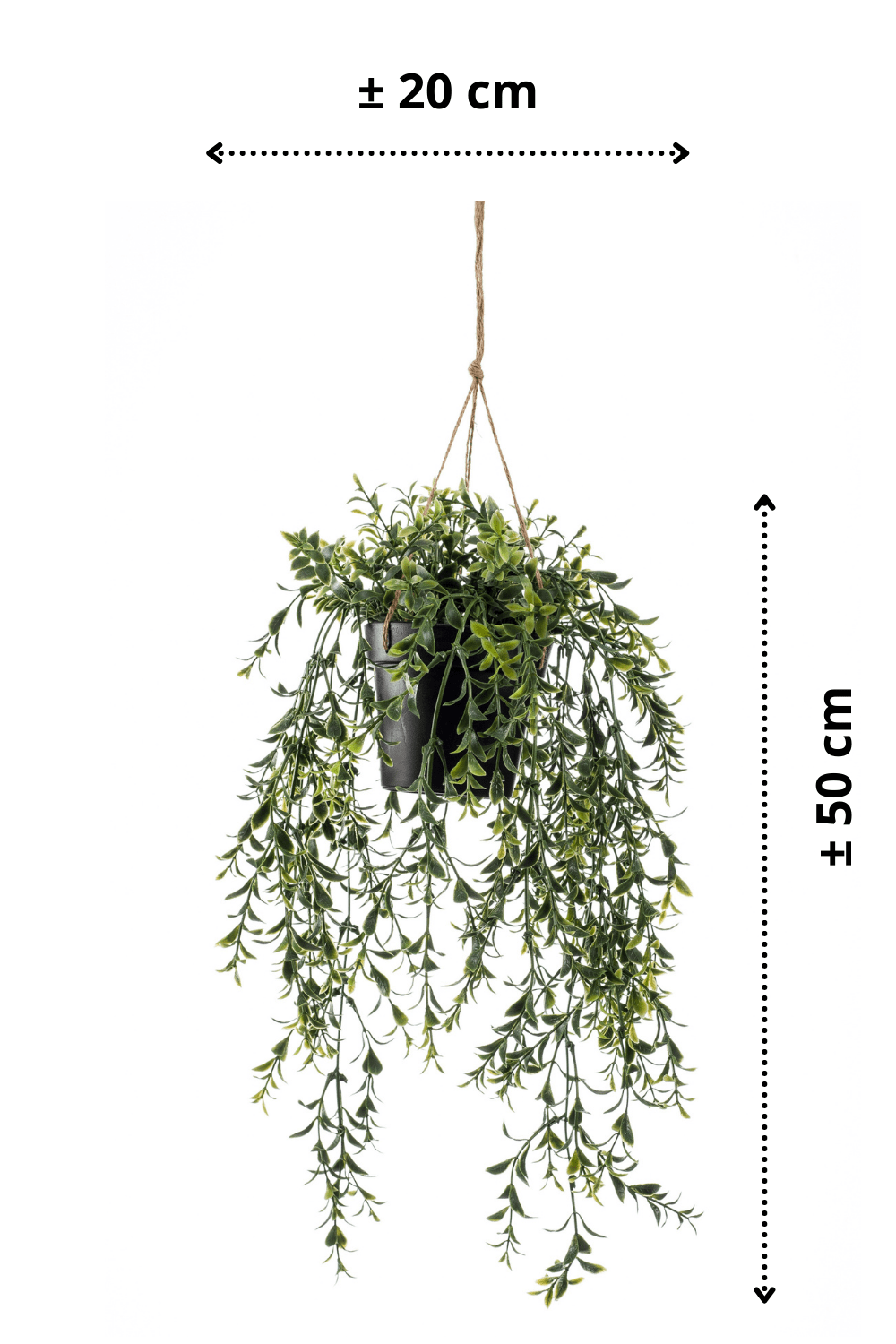 afmetingen Buxus Kunst Hangplant 50cm