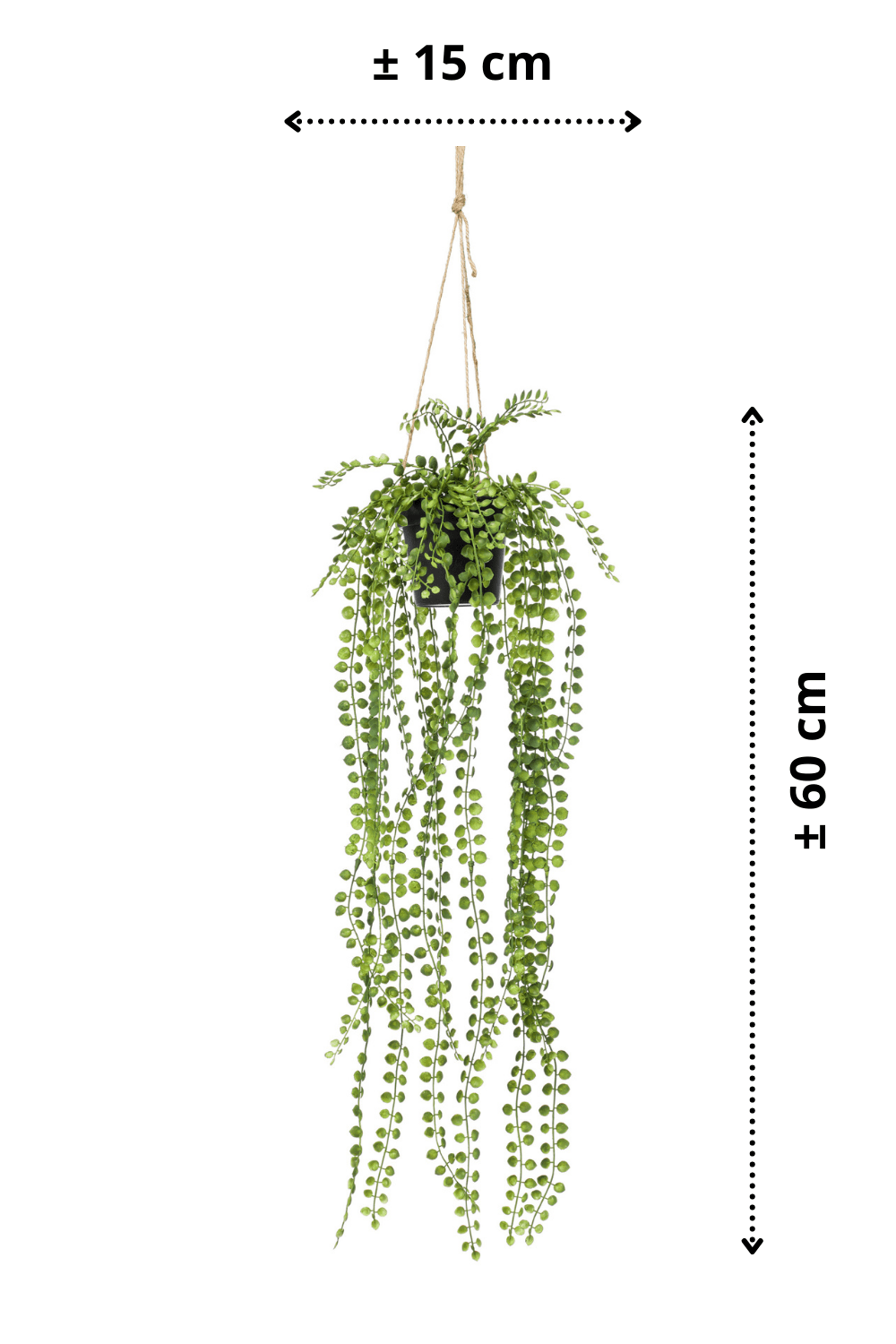 afmetingen Ficus Pumila Kunst Hangplant 60cm