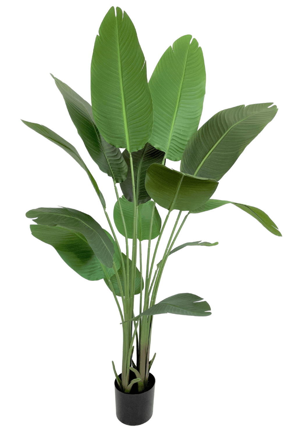 Strelitzia Kunstplant 160cm