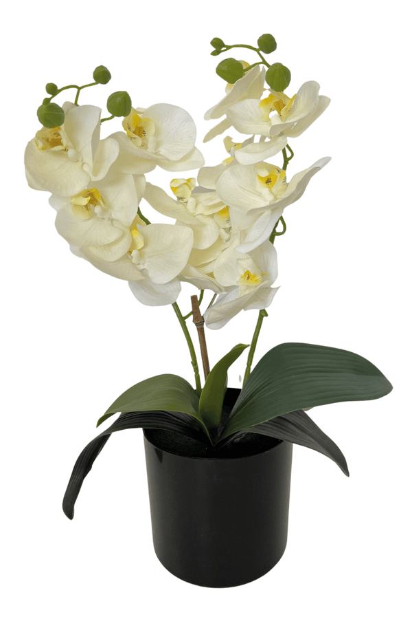Kunst Orchidee Wit 30cm