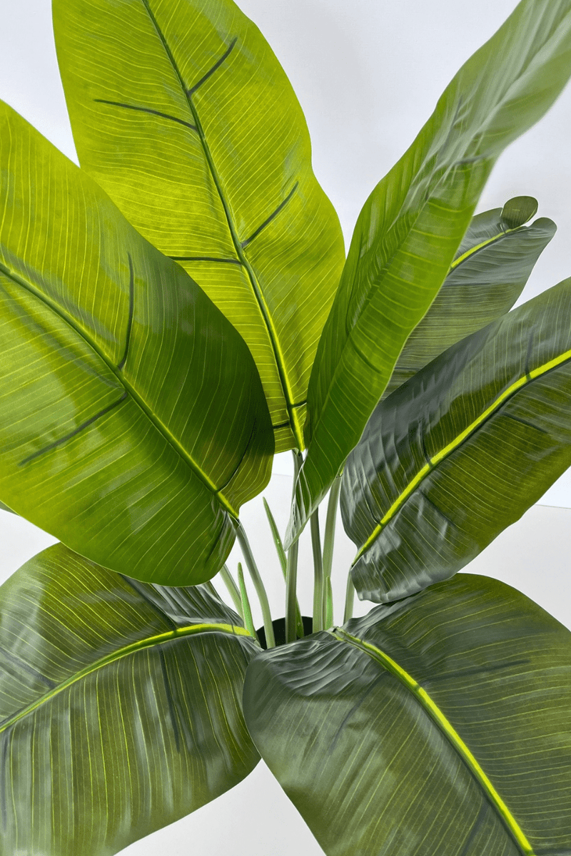 bovenaanzicht Kunst Bananenplant Serie A 90cm