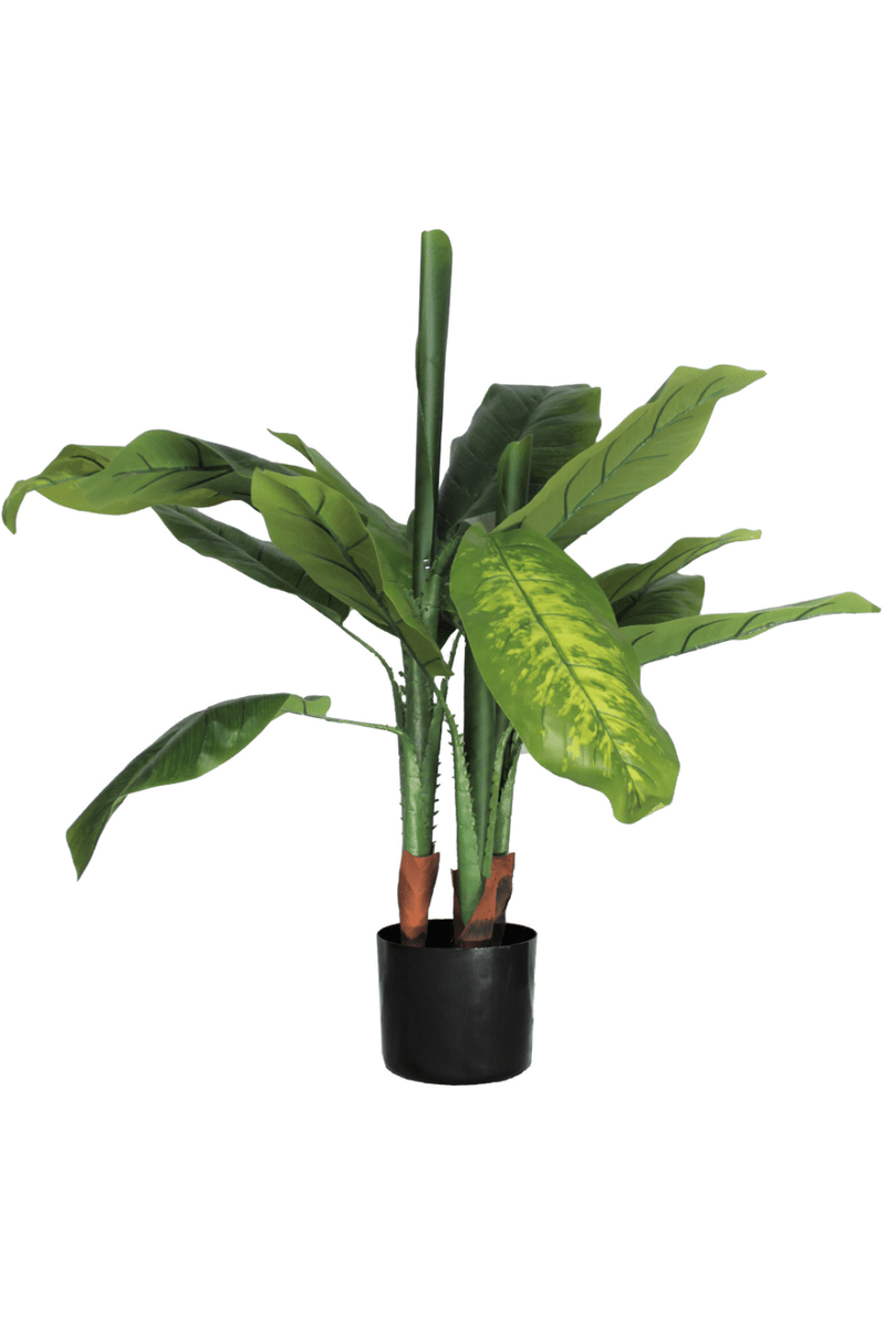 Dieffenbachia Kunstplant 90cm