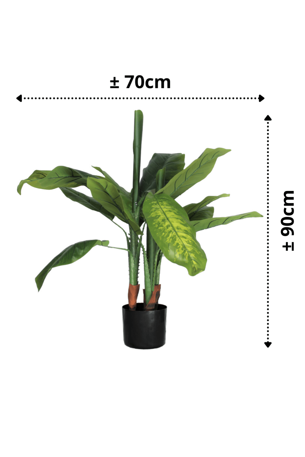 afmetingen Dieffenbachia Kunstplant 90cm