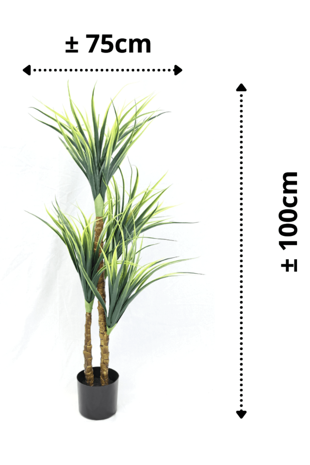 afmetingen Dracaena Kunstplant 100cm