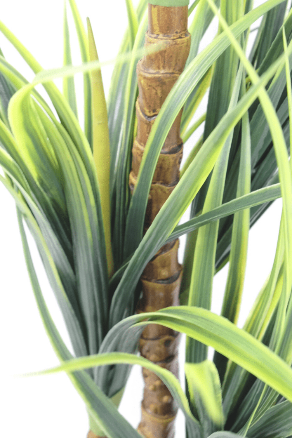 stam en bladeren Dracaena Kunstplant 100cm