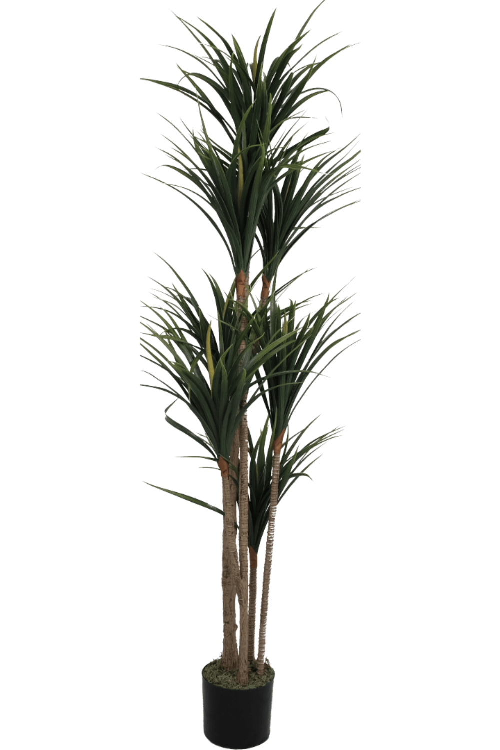 Dracaena Kunstplant 170cm