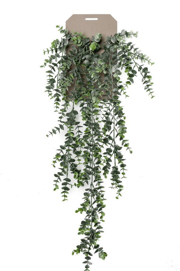 Eucalyptus Kunst Hangplant 75cm 