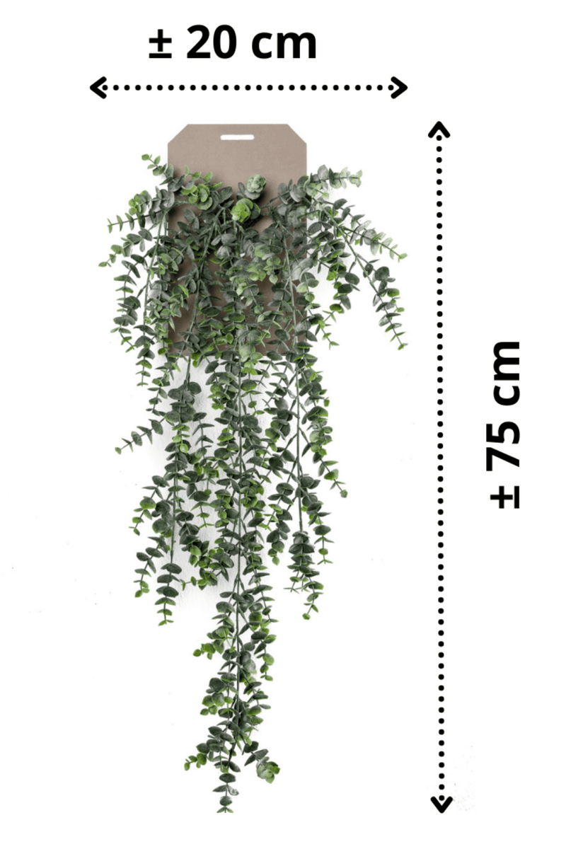 afmetingen Eucalyptus Kunst Hangplant 75cm