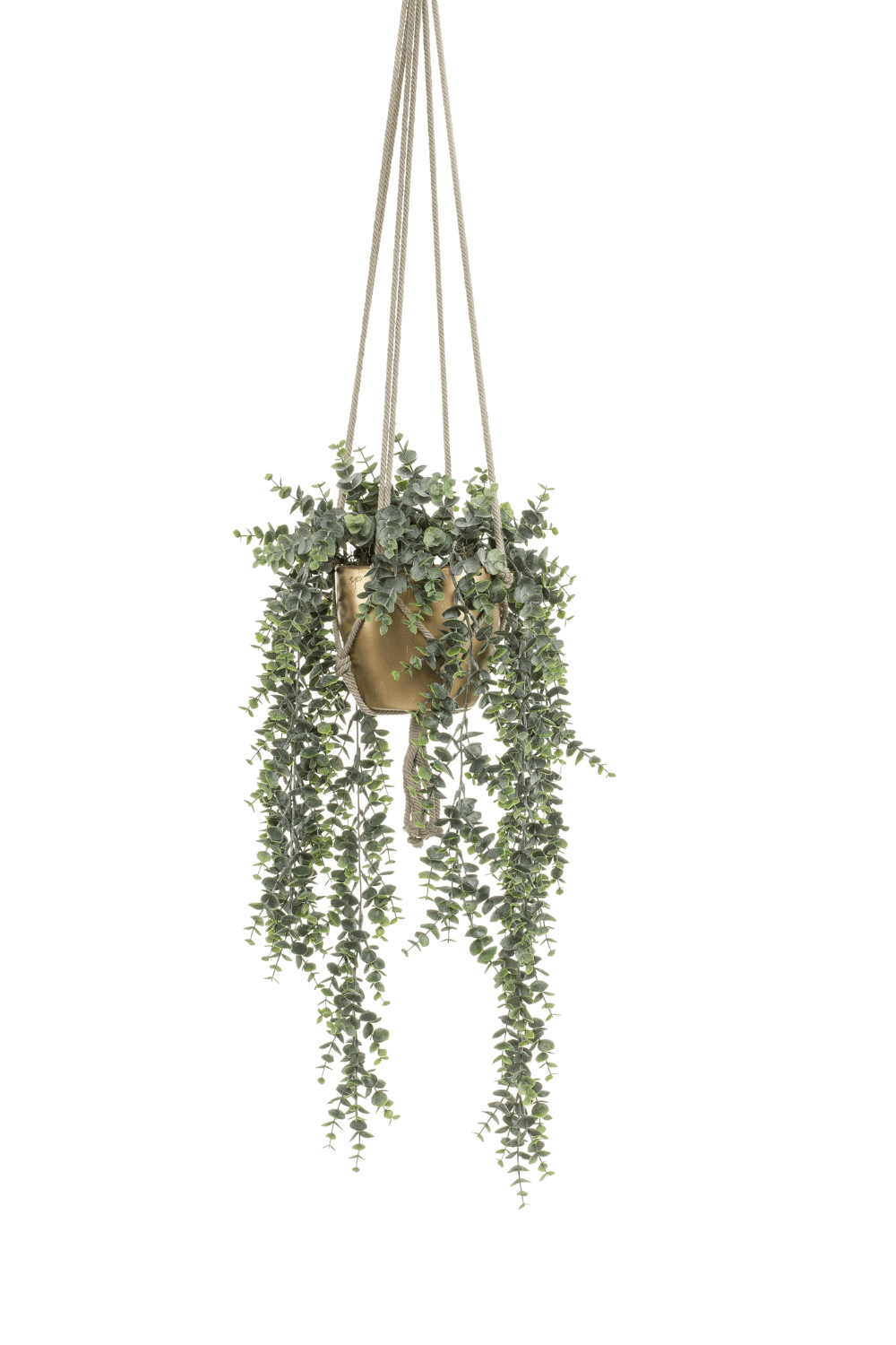 Eucalyptus Kunst Hangplant in gouden pot 75cm
