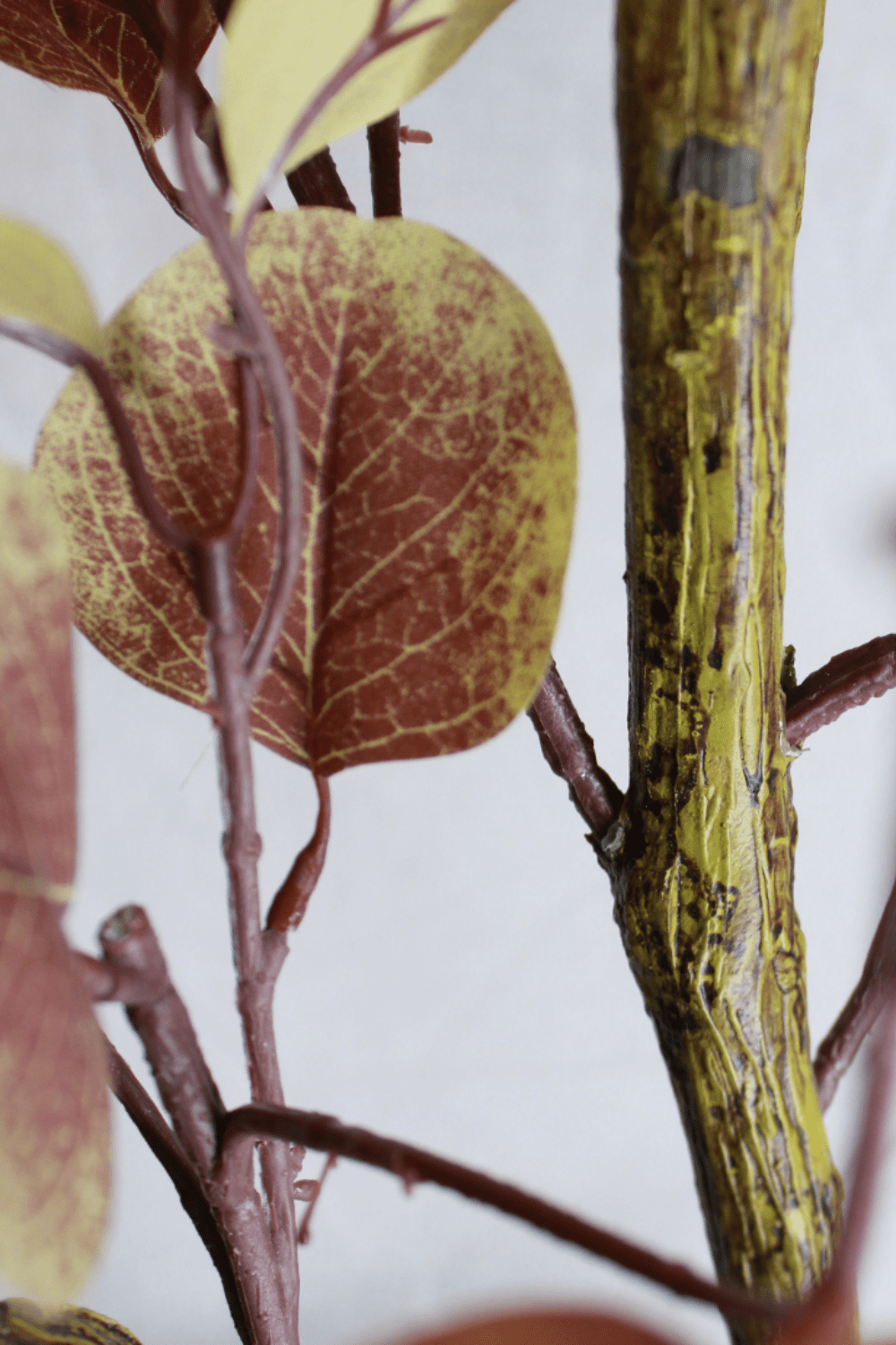 blad en stam Eucalyptus Kunstboom Roest 130cm