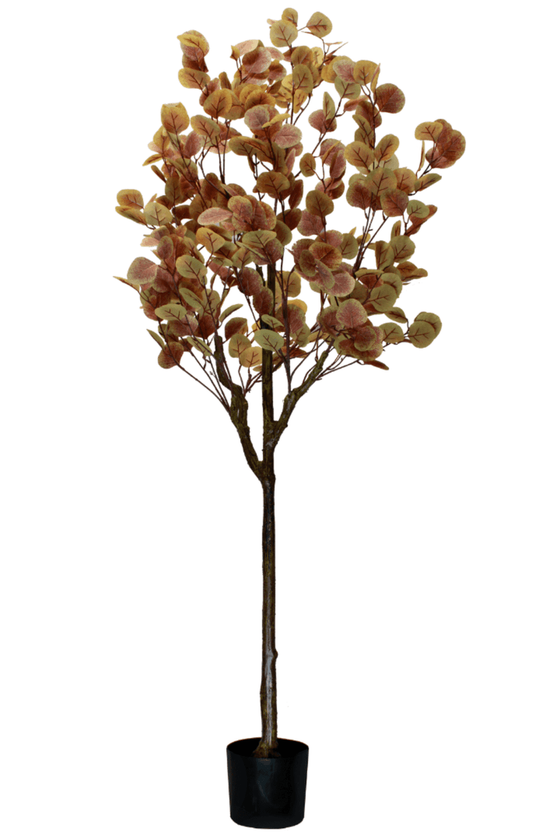 Eucalyptus Kunstboom Roest 160cm