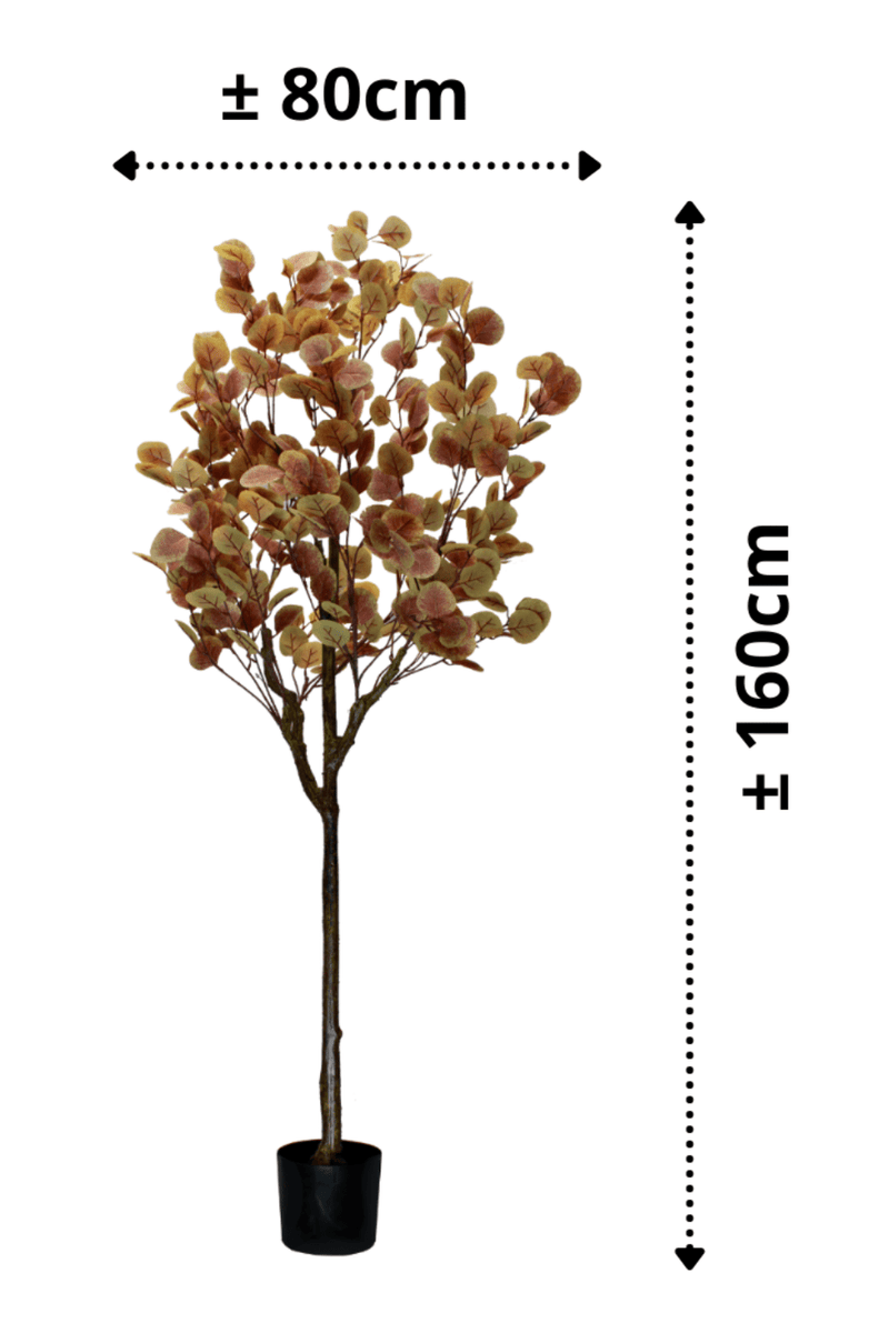 afmetingen Eucalyptus Kunstboom Roest 160cm