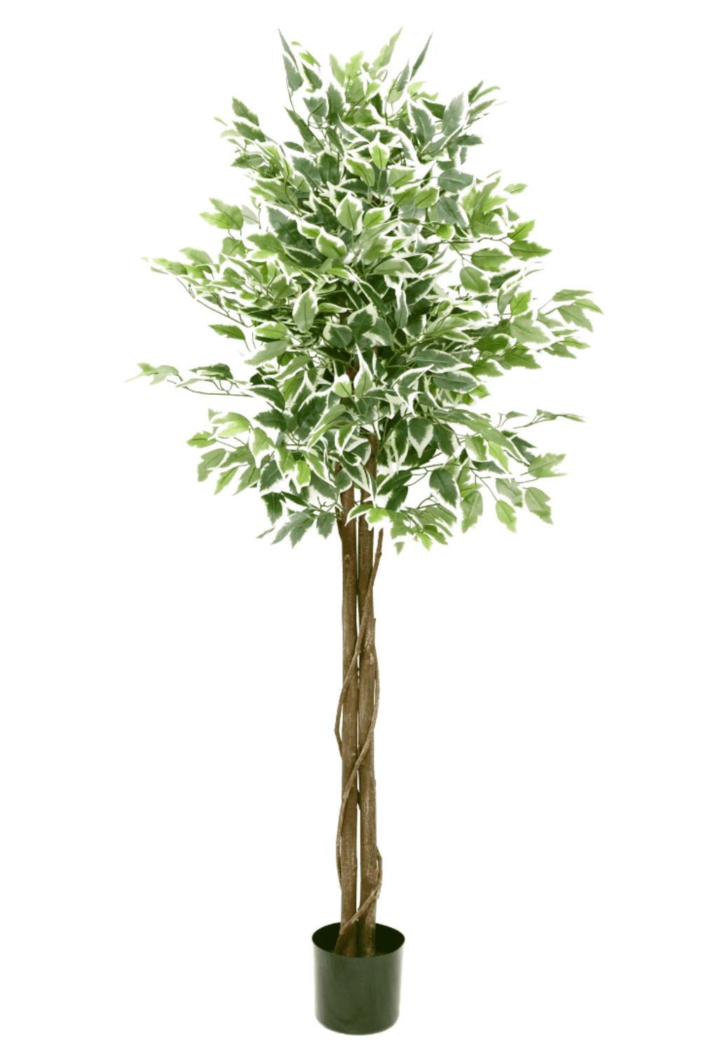 Ficus kunstboom 150cm
