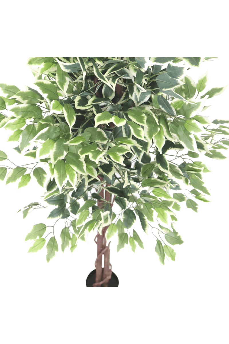 bovenaanzicht Ficus kunstboom 150cm