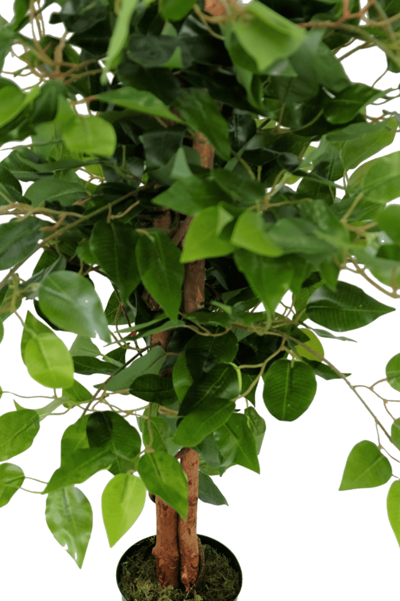 bladeren Ficus Kunstboom 90cm