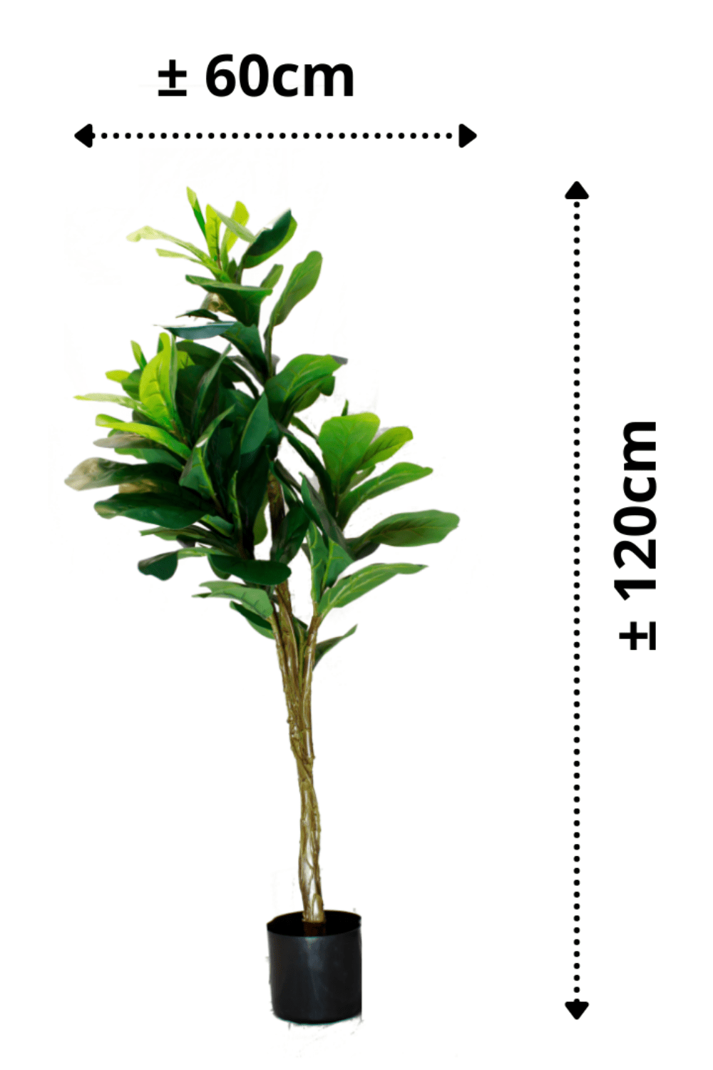 afmetingen Ficus Kunstplant 120cm