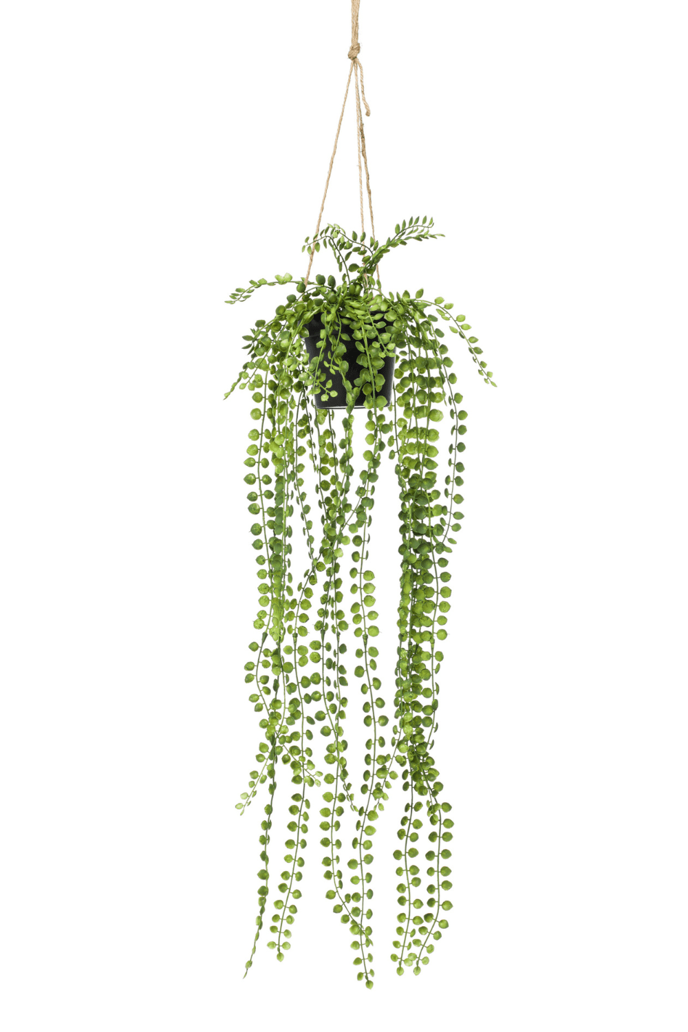 Ficus Pumila Kunst Hangplant 60cm