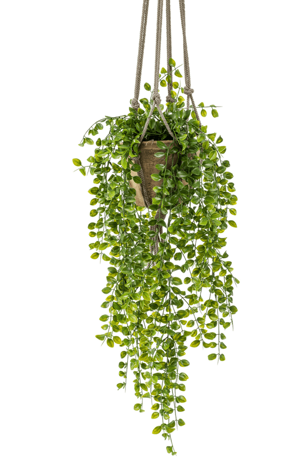 Ficus Pumilla Kunst Hangplant 80cm