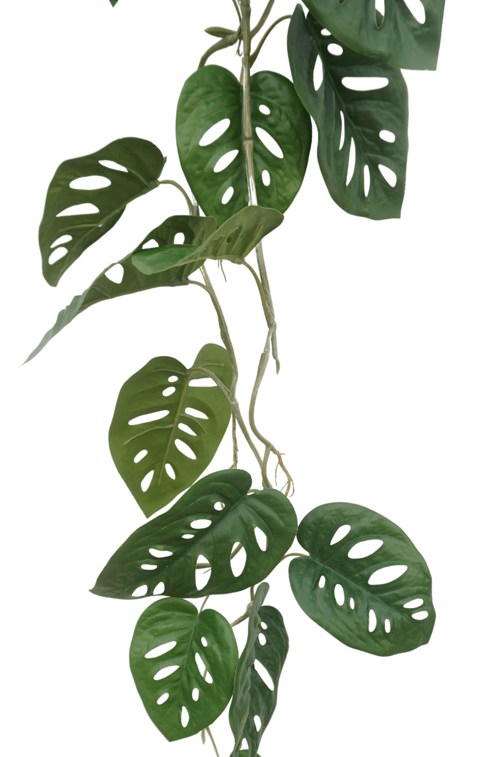 bladeren Monstera Monkey Bush Kunstslinger 120cm (Guirlande)