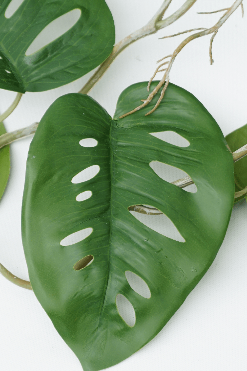 details blad Monstera Monkey Bush Kunstslinger 120cm (Guirlande)
