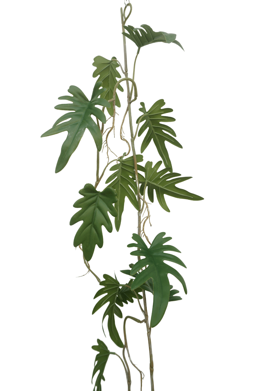bladeren Philodendron guirlande 120cm