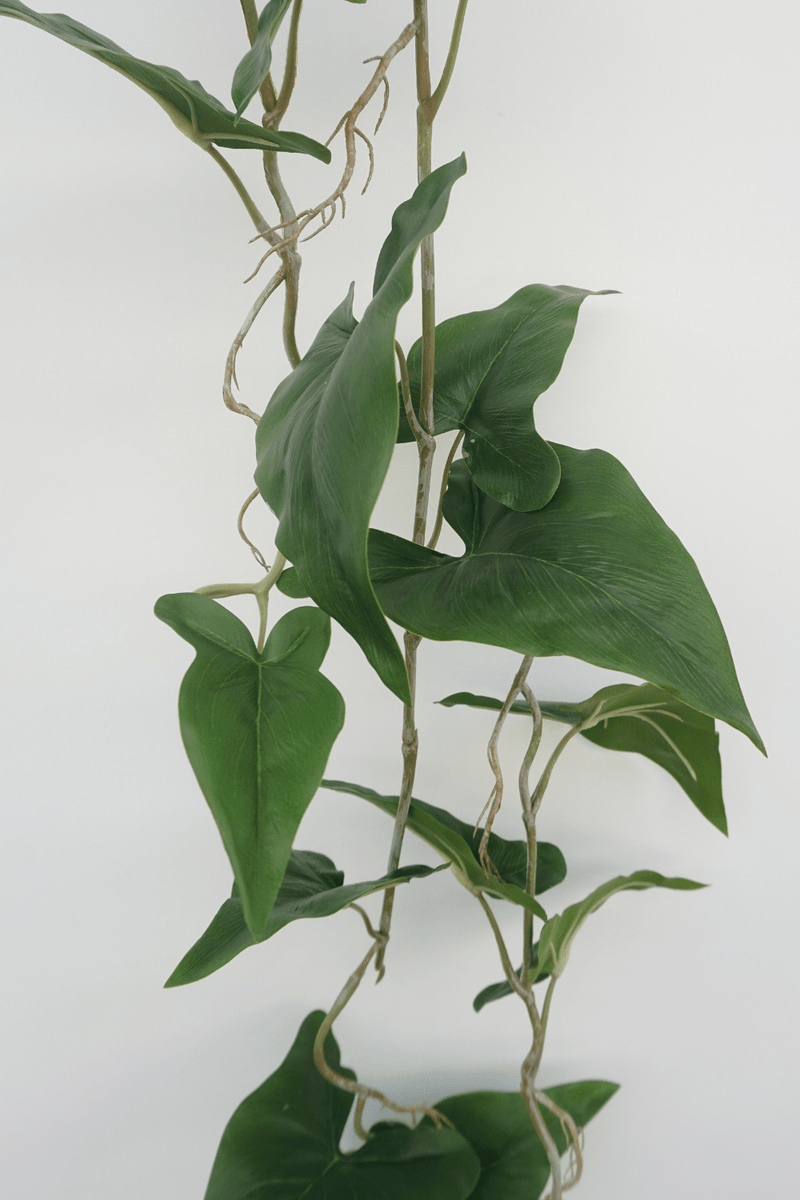 bladerenTyphonium Kunstslinger 120cm