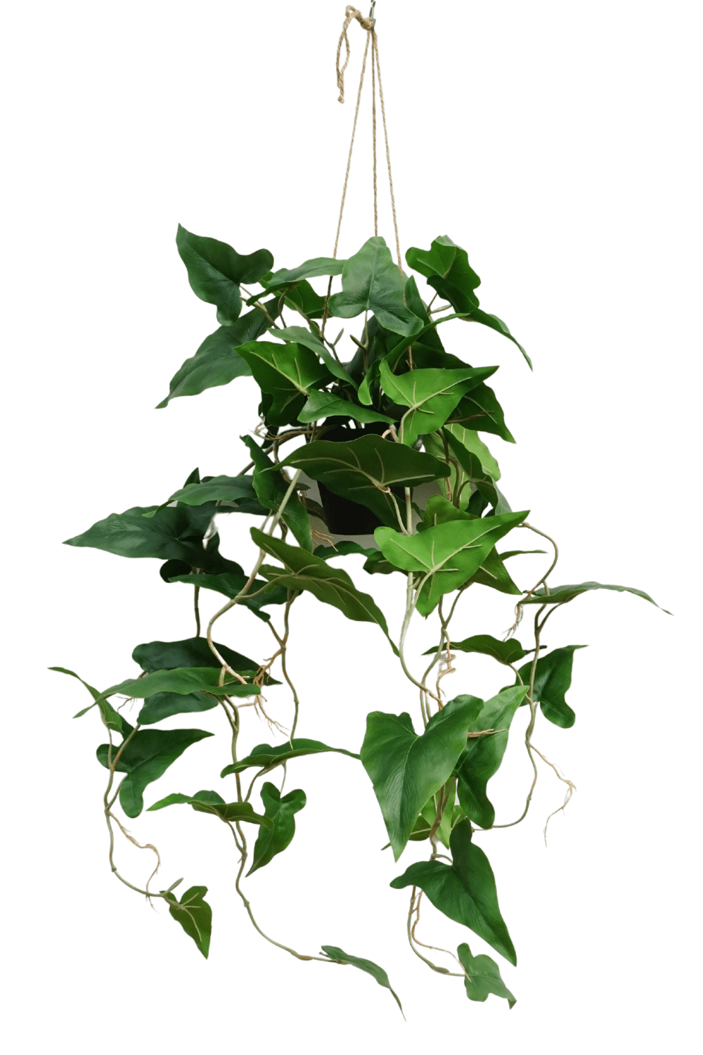Typhonium Kunst Hangplant 95cm