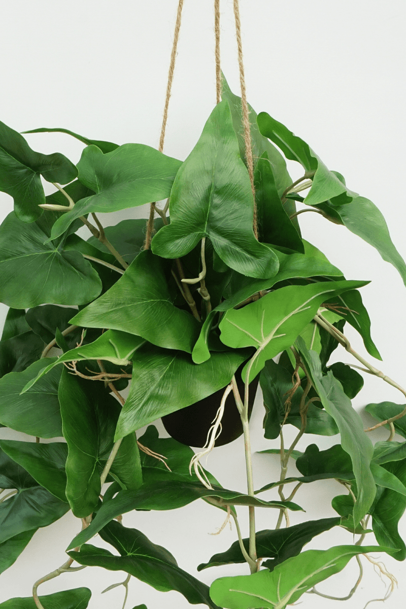 bladeren Typhonium Kunst Hangplant 95cm